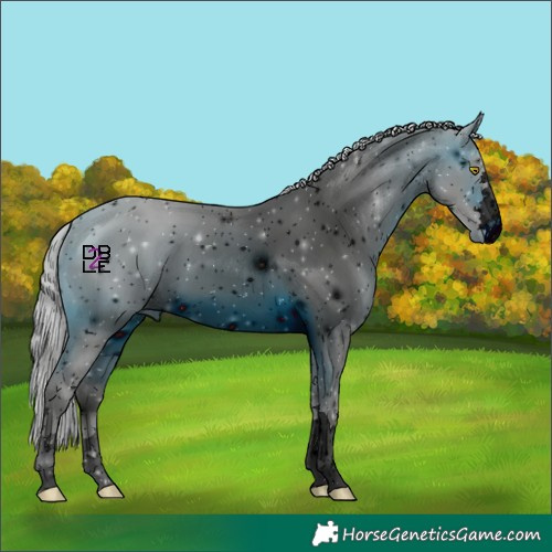 Horse Color:ERROR: UNKNOWN ANOMALY