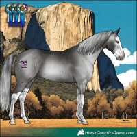 Horse Color:Gray Black Splash Rabicano