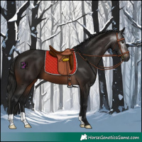 Horse Color:Gray Brown