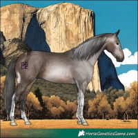 Horse Color:Gray Bay Ice Tobiano 