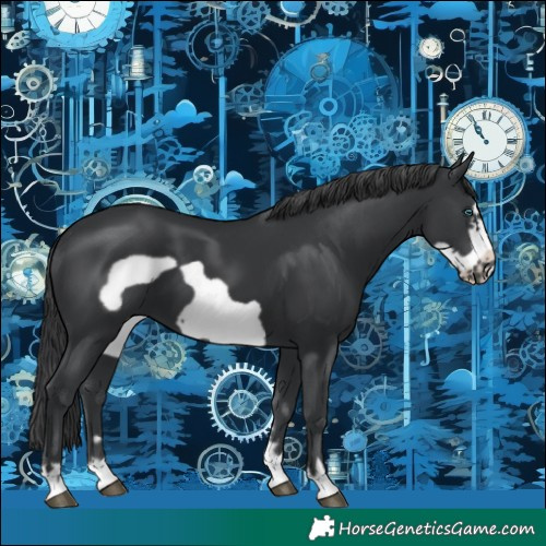 Horse Color:Black Frame