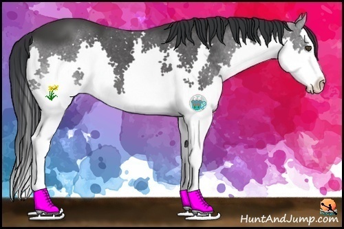 Horse Color:Black Splash 