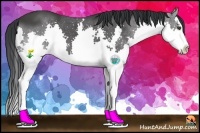 Horse Color:Black Splash