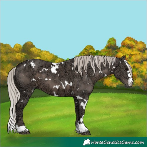 Horse Color:White Spotted Silver Black Ice 