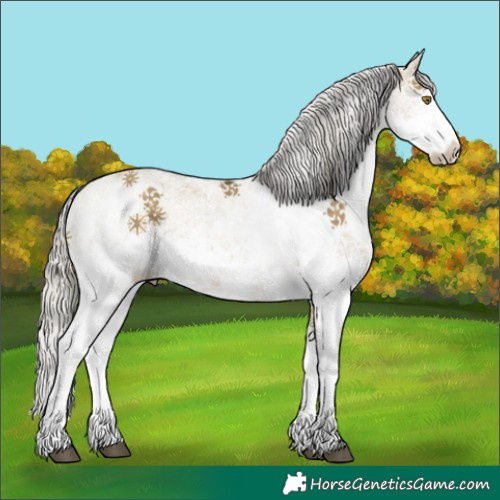 Horse Color:White Spotted Silver Buckskin Dun 