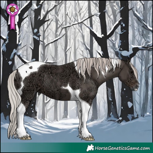 Horse Color:Silver Black Ice Tobiano