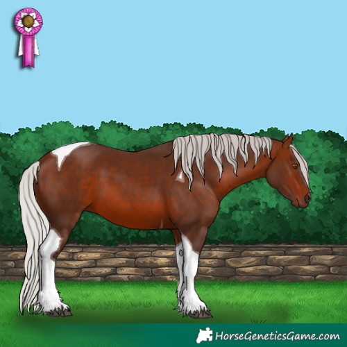 Horse Color:Silver Brown Tobiano