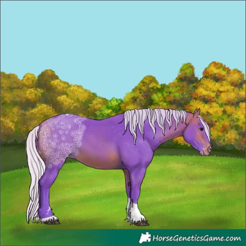 Horse Color:Watercolor Silver Bay Ice Tobiano Appaloosa Rabicano