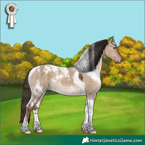 Horse Color:White Spotted Liver Red Dun Tobiano 