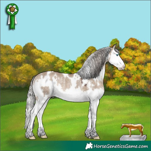 Horse Color:White Spotted Silver Brown Dun Sabino Splash Rabicano