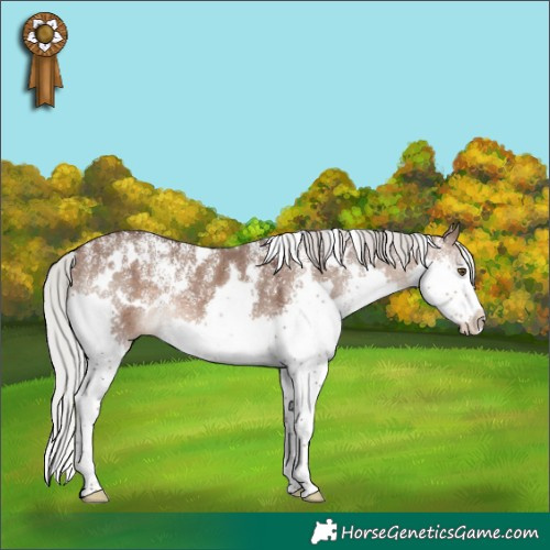 Horse Color:Powder White White Spotted Silver Brown Dun Splash Rabicano 