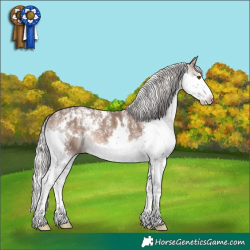 Horse Color:Powder White White Spotted Silver Brown Dun Splash Rabicano 