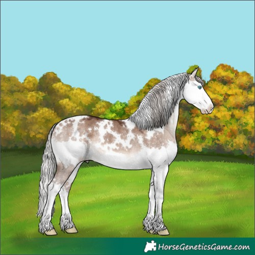 Horse Color:White Spotted Silver Brown Dun Splash Rabicano 