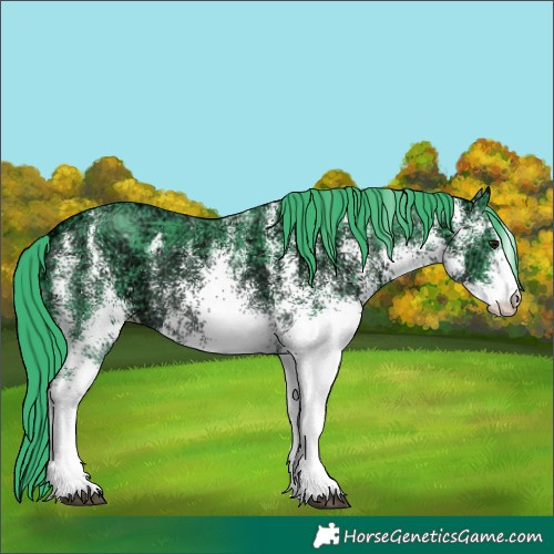 Horse Color:Watercolor White Spotted Black Ice Rabicano 