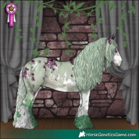 Horse Color:Watercolor White Spotted Silver Black Ice and Watercolor White Spotted Silver Brown Ice Dun Rabicano