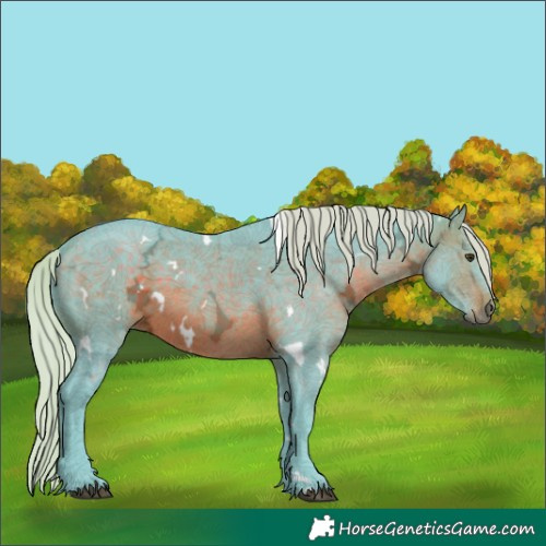 Horse Color:Watercolor White Spotted Silver Brown Ice Rabicano 