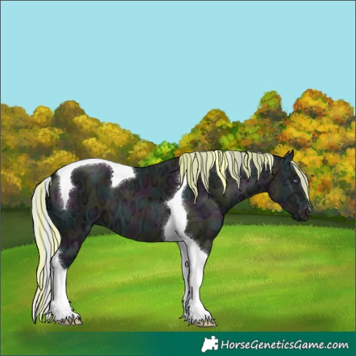 Horse Color:Painted Midnight Silver Brown Chinchilla Ice Dun Tobiano