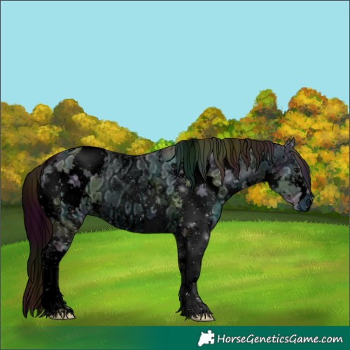 Horse Color:ERROR: UNKNOWN ANOMALY