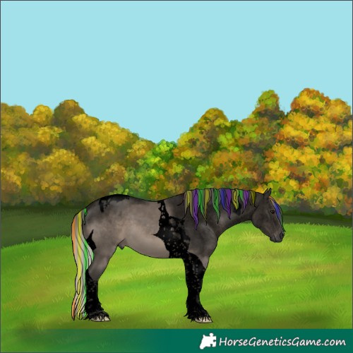 Horse Color:Gray Void Painted Silver Grullo Tobiano 