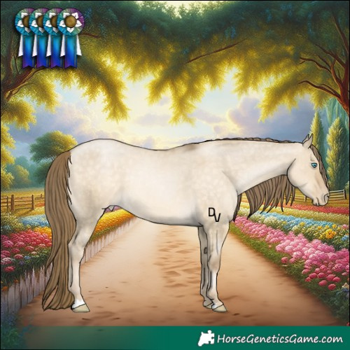 Horse Color:Chocolate Buckskin Pearl Dun Appaloosa 