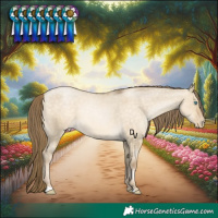 Horse Color:Chocolate Buckskin Pearl Dun Appaloosa
