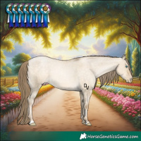 Horse Color:Chocolate Buckskin Pearl Dun Appaloosa