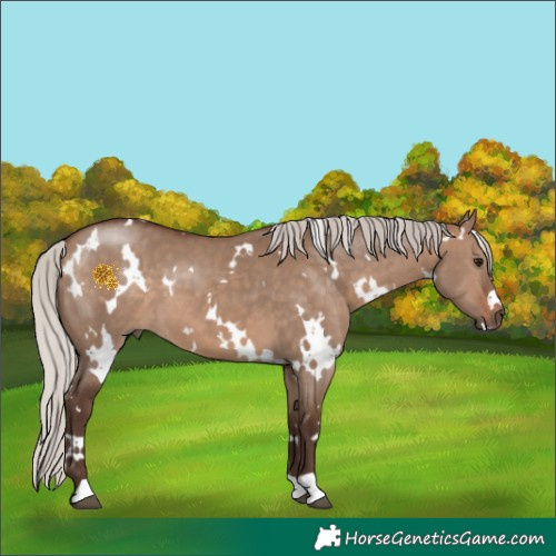Horse Color:White Spotted Silver Brown Dun