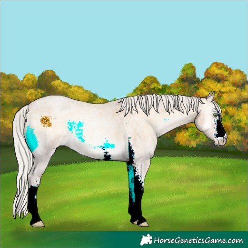 Horse Color:Silver Smoky Blue Onyx Ice Roan Pearl Sabino 