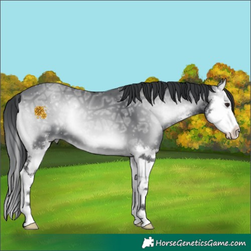 Horse Color:Blue Onyx Chinchilla Ice Sabino Splash 