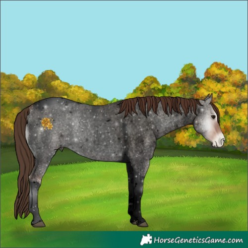 Horse Color:Void Brown Roan Pearl Onyx Tobiano