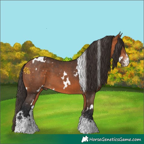 Horse Color:White Spotted Bay Sabino 