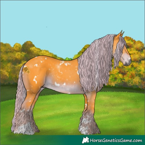 Horse Color:Gray Watercolor White Spotted Liver Chestnut Sabino Rabicano 