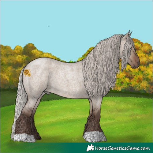 Horse Color:Silver Grullo Roan