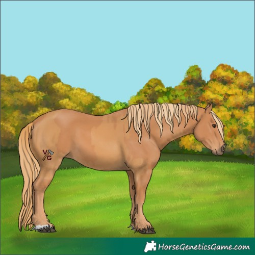Horse Color:Chestnut  and Chestnut 