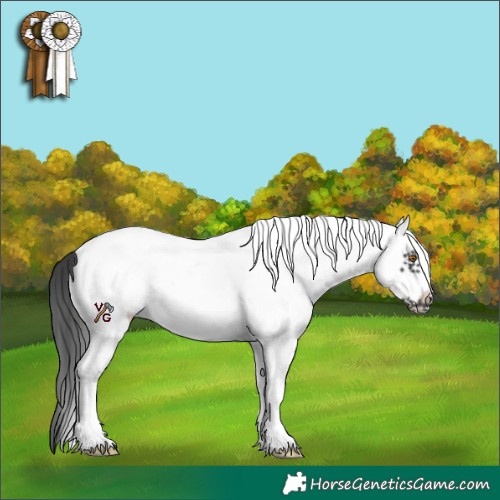 Horse Color:White Spotted Black Frame