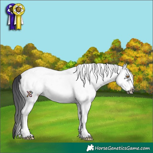Horse Color:White Spotted Black Frame 