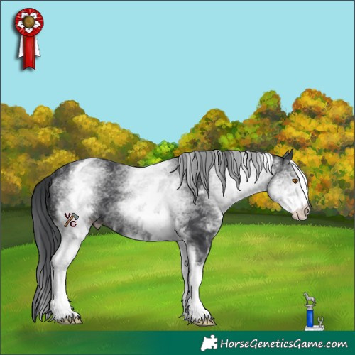 Horse Color:White Spotted Black