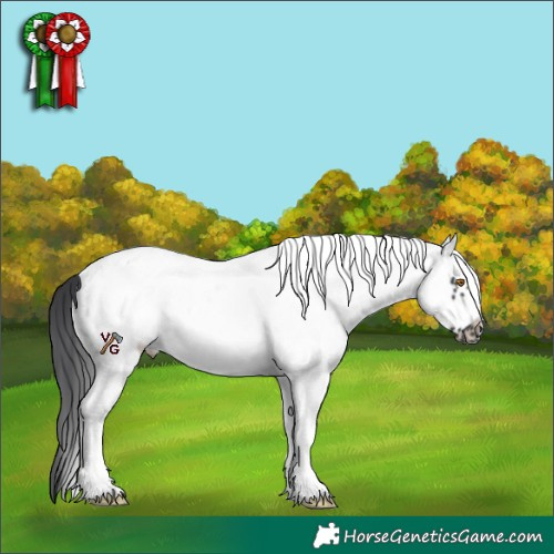Horse Color:White Spotted Black Frame