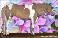 Horse Color:Chocolate Palomino Tobiano 