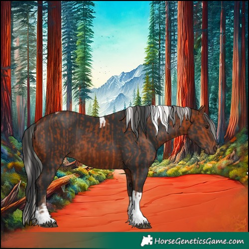 Horse Color:Silver Bay Tobiano  and Brown Tobiano 