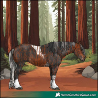 Horse Color:Silver Bay Tobiano  and Brown Tobiano 
