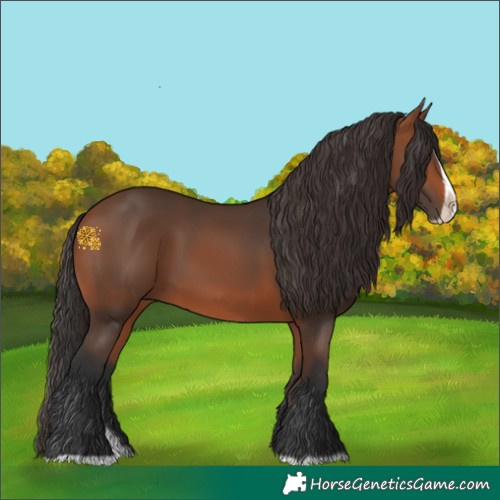 Horse Color:Bay Splash Frame Rabicano