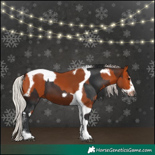 Horse Color:Bay Tobiano Frame  and Silver Bay Tobiano Frame 