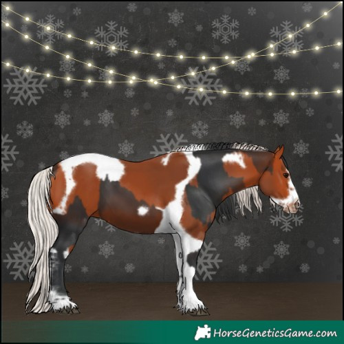 Horse Color:Bay Tobiano Frame  and Silver Bay Tobiano Frame 
