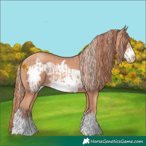 Horse Color:Silver Amber Champagne Frame  and Gold Champagne Frame 