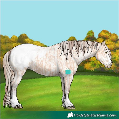 Horse Color:Amber Champagne Snowcap and Amber Cream Champagne Snowcap