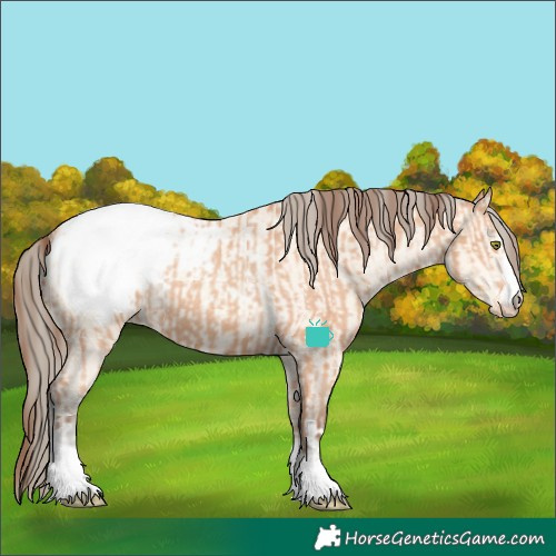 Horse Color:Amber Champagne Appaloosa  and Amber Cream Champagne Appaloosa 