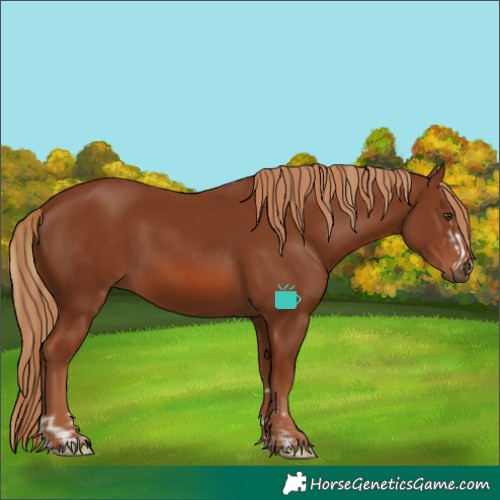 Horse Color:Chestnut  and Chestnut 