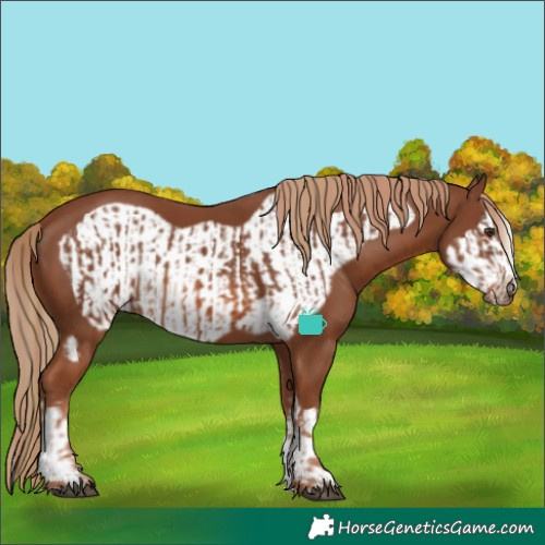 Horse Color:Chestnut  and Chestnut Frame 