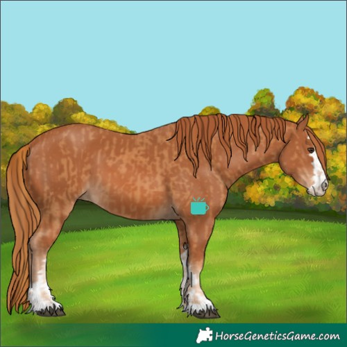 Horse Color:Chestnut  and Chestnut 